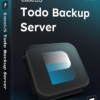 EaseUS Todo Backup Server