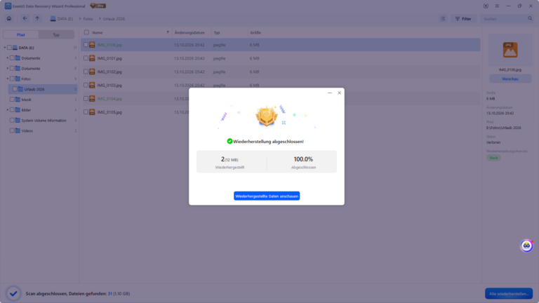EaseUS Data Recovery Wizard – Screenshot 6